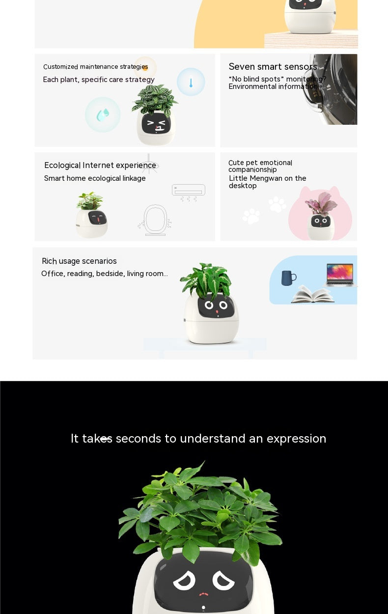 PlantBuddy AI: Your Green Companion