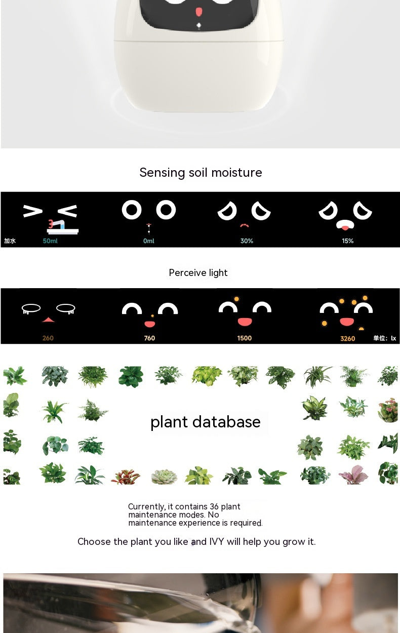 PlantBuddy AI: Your Green Companion