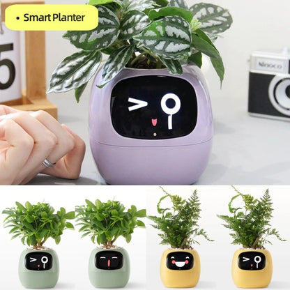 PlantBuddy AI: Your Green Companion